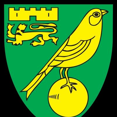 Life long norwich city fan and blogger for various sites, my views are my own but I'm always correct!
