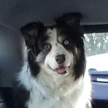 JeniferRogersOK's profile picture. H.S. Instructional & Graduation Coach - Do not pray for an easy life; pray instead for the strength to endure a difficult one. - Bruce Lee