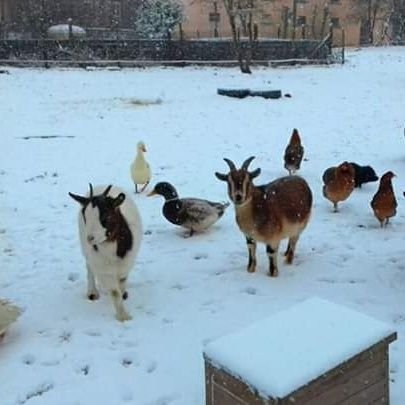 bennyk921's profile picture. 