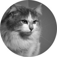 Executive Cat at @42born2code and hacker #AnonyMiaous