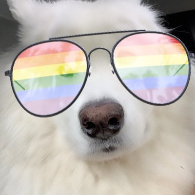 myroommatestho's profile picture. I have two roommates I've known them their whole lives, they literally live off of me. What am I doing with my life?