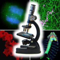 Bo Huang Lab (@bohuanglab) 's Twitter Profile