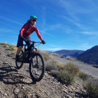 LucySibbald (@lucysibbald) 's Twitter Profile Photo