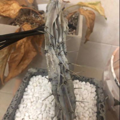 mook_sang_ro's profile picture. 제정신차리기 힘든 사람