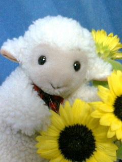 gardeneel_'s profile picture. ガーデンだったりひつじだったり。。。メェ。谷山浩子さんの詞曲が生きがい
宮沢賢治作品の朗読をする方の中では桑島法子さんがお気に入り。あの、特に夜中うるさいです。リムーブお気軽に。フォローを外してリスト行きって手もありますよ、奥さん。。。すみません。。。干支も星座も動物占いもヒツジではありません。。。メェメェ。