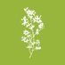 SiphonDrawApothecary (@siphondrawaz) Twitter profile photo SiphonDrawApothecary (@siphondrawaz) Twitter profile photo