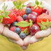 Healthly Tips (@mdmahbu12233385) Twitter profile photo Healthly Tips (@mdmahbu12233385) Twitter profile photo