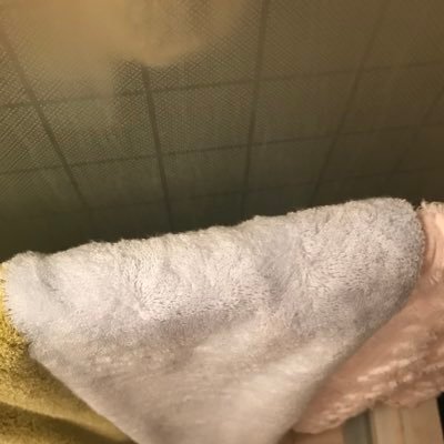 abc23664721's profile picture. 