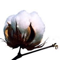 AndreaS56916815's profile picture. My children
