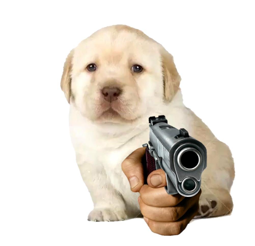 HazelMemer's profile picture. I like to make Memes™