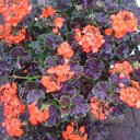 jan wilde - @janwilde - Twitter