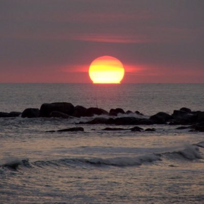 Ahmed37353's profile picture. 