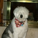 Harry Sturm - @harrysturm - Twitter