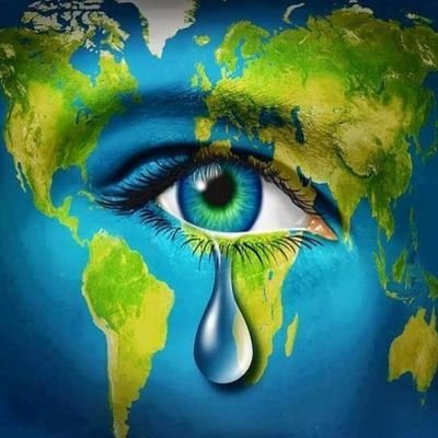 goyim13's profile picture. Anti-Establishment. Community Capitalism. Environment. Politics.