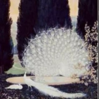 firstdayjune85's profile picture. 파리지앵이 되는 그날까지,,,