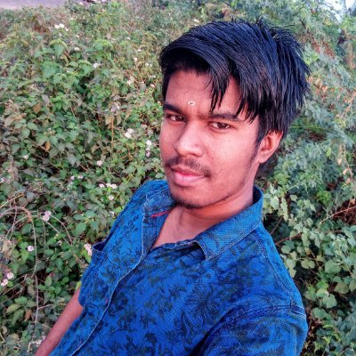 Paramaraj12's profile picture. .