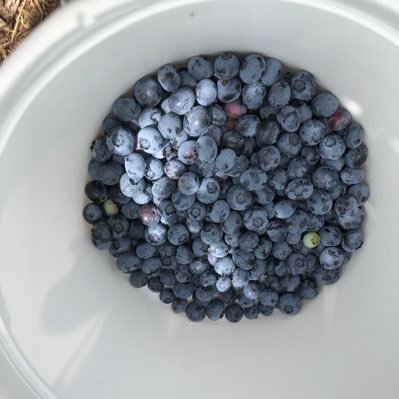 Irmag2017's profile picture. 