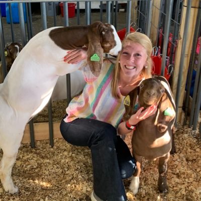 HughesKatie0's profile picture. 