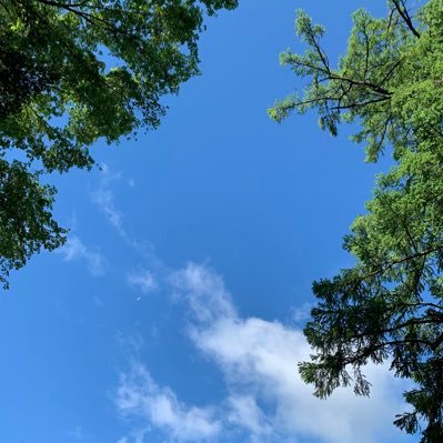 suPdR84DqVufuuk's profile picture. 