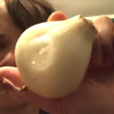 I take a bite out of an onion Everyday Until a New shrek Movie is released.