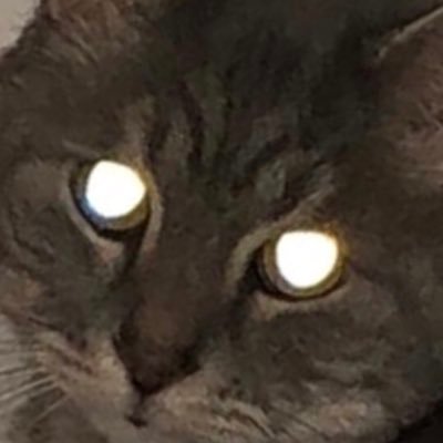 oath_milk's profile picture. 