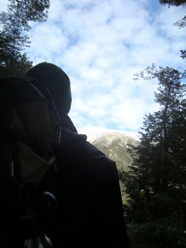 vine_twits's profile picture. 