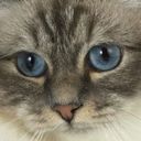 Heather Collings - @bydezyne - Twitter