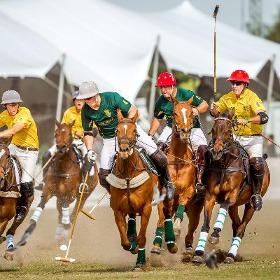 The South African Polo Association is the official administrative controlling body of polo in South Africa and was formed in 1905.