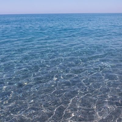 Leonardo781978's profile picture. 