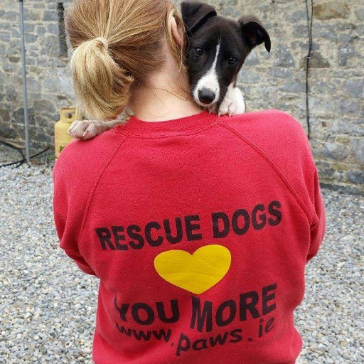 Irish Charity caring for abandoned Dogs.
https://t.co/sYgRTxe5HN