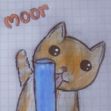 mrr21laa's profile picture. @DUALBOOT_PTRS
programming, languages, pixelart, edm
former @aelaau