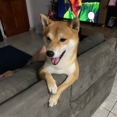 santaegua's profile picture. 