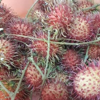 mdharis87's profile picture. 