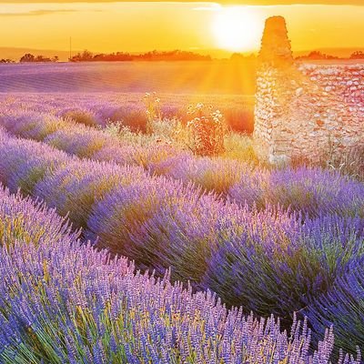 祖父母に育ててもらいました😊祖父は34年前に他界。以来ずっと2人暮らし🌷
祖母大好きっ子💕
約7年前の入院を境に悪化→突然始まった介護生活。認知症・要介護5の祖母を在宅介護していましたが…
R4.3.5 コロナ感染が原因で旅立ってしまいました……在宅看取り。 色んな想いを呟いていきたいと思います。