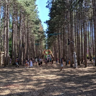 Fares_Wheel's profile picture. You’re braver than you believe, and stronger than you seem, and smarter than you think