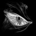 protera (@protera) Twitter profile photo protera (@protera) Twitter profile photo