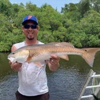 🐊Cory💪 (@cgfl) 's Twitter Profile