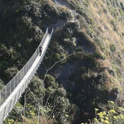 TomStevensonTD's profile picture. VFX丨Rigging丨Pipeline | Computer Graphics丨Animation & Rigging Software@Netflix Animation Studios | Previously Unity, Wētā, MPC, Aardman | 🏴󠁧󠁢󠁷󠁬󠁳󠁿🇬🇧🇳🇿