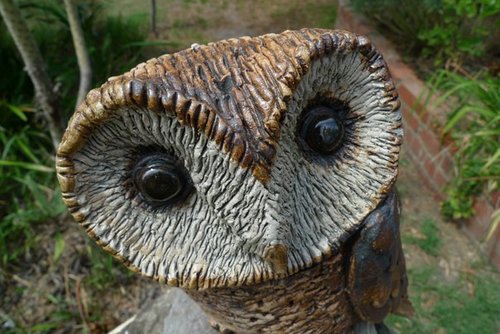 caedwa's profile picture. Just someone