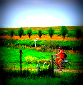 lfro467's profile picture. Industrial & Systems Engineering Senior at the University of Southern California.  
Phil 4:6-7