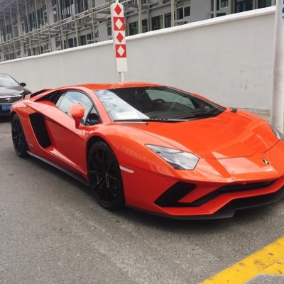 SamQin12's profile picture. 喜欢新鲜事物