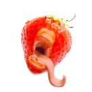 𓆈さんのプロフィール画像