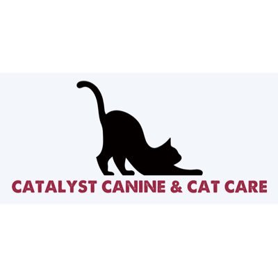 Calgary,AB Dog Walker & Pet Sitter