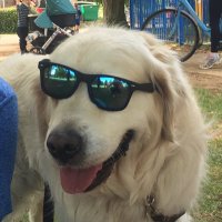 Dave Smith (@davidsm39593496) 's Twitter Profile