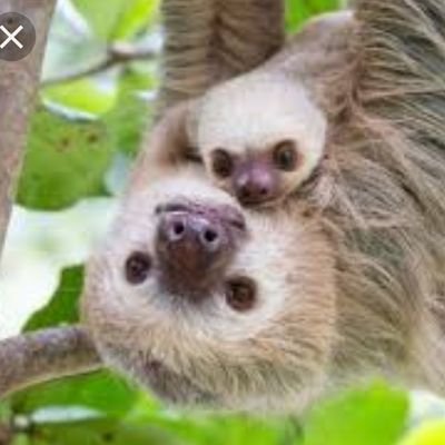 YNi3ZW8RT56IMDK's profile picture. 高卒→数年仕事→退職→宅浪2年→2023年5月時点、薬学部薬学科2年生。再受験。アカウントは夢、勉強に関する様々な事に使っています。質問や相談した際には、どなたでも教えてください。第113回、国試絶対合格するぞ。薬剤師になって、やりたいことがある。薬学科再受験生や受験生を応援します。→DMで、個別に進路相談乗ります。