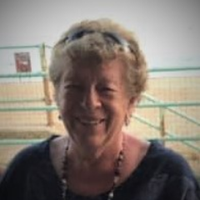 Gaynor Wingham (@gaynorwingham) 's Twitter Profile