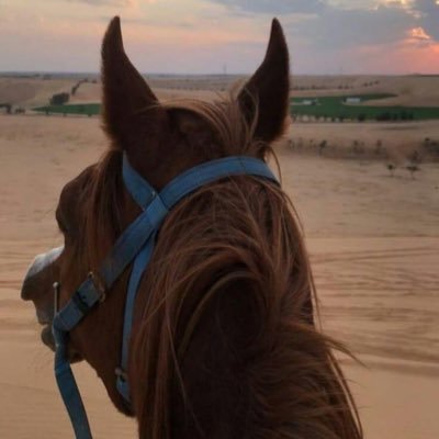 اللهم صُحبة صالحة إن رحلت لا يرحل ذكري بين دعائهم، اللهم صحبة وإن مُت لا أموت بداخلهم.🧡🌿