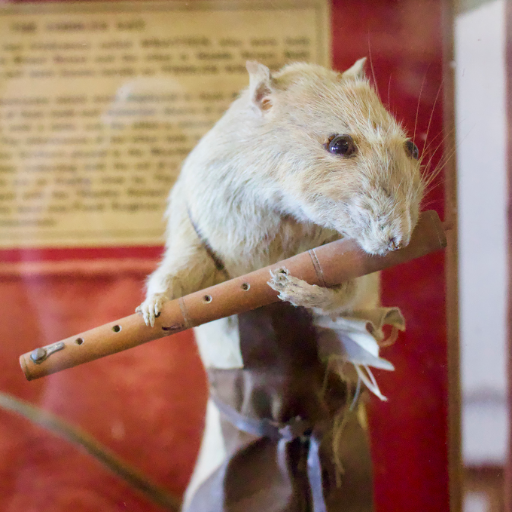 Charming, eclectic volunteer-run museum focussing on Deal's seafaring and local history. Maritime, memories and more!