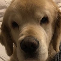 Kim Hyde (@lbmshyde) 's Twitter Profile