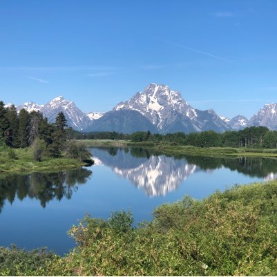 dalianch05's profile picture. 